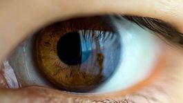chinese eye